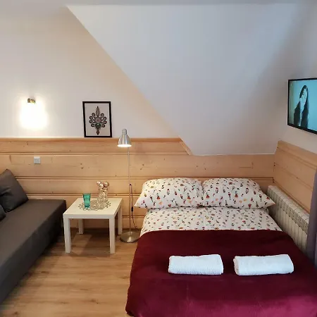 Przy Skoczni Privat bolig *