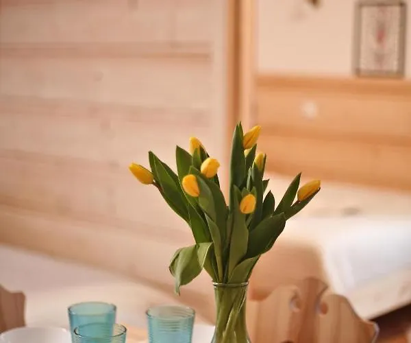 Homestay szállás Przy Skoczni