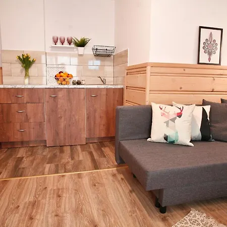 Przy Skoczni Homestay *