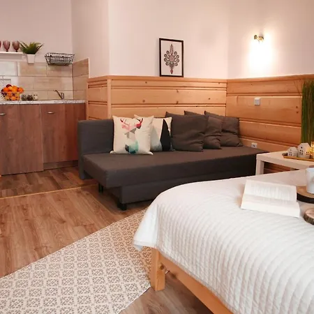 Przy Skoczni Homestay *