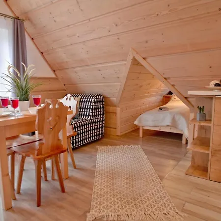 Homestay Przy Skoczni *